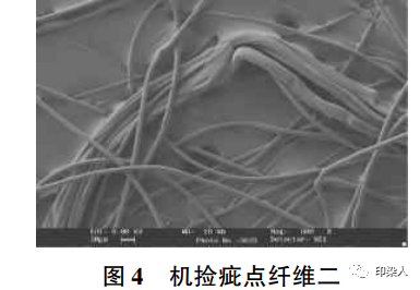 定型機(jī),涂層機(jī),地毯機(jī),地毯背膠機(jī),靜電植絨機(jī)